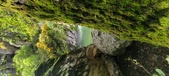 Enlarge photo 391