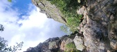 Enlarge photo 393