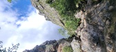 Enlarge photo 394
