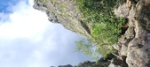 Enlarge photo 395