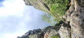 Enlarge photo 397