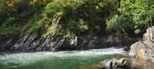 Enlarge photo 399