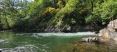 Enlarge photo 401