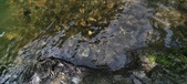 Enlarge photo 402