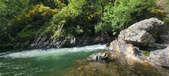 Enlarge photo 403