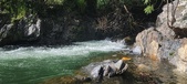 Enlarge photo 409