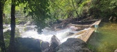 Enlarge photo 415
