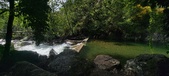 Enlarge photo 420