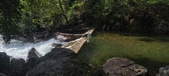 Enlarge photo 421