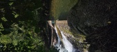 Enlarge photo 423