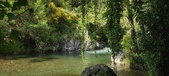 Enlarge photo 427