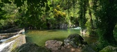 Enlarge photo 428
