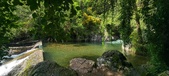Enlarge photo 429