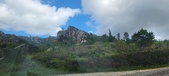 Enlarge photo 438
