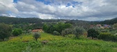 Enlarge photo 439