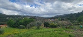 Enlarge photo 440