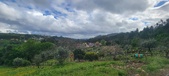 Enlarge photo 441