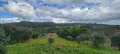 Enlarge photo 442