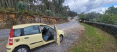 Enlarge photo 443