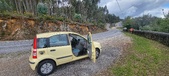 Enlarge photo 445