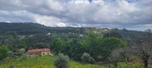 Enlarge photo 447