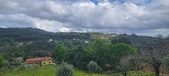 Enlarge photo 448