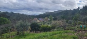 Enlarge photo 449