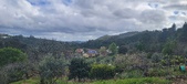 Enlarge photo 451