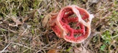Enlarge photo 453