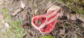 Enlarge photo 459