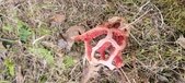 Enlarge photo 461