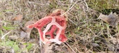 Enlarge photo 462