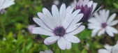 Enlarge photo 468