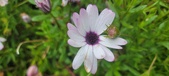 Enlarge photo 469