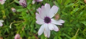 Enlarge photo 470