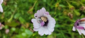 Enlarge photo 471