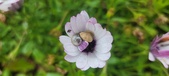Enlarge photo 475