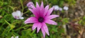 Enlarge photo 474