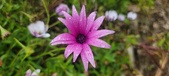 Enlarge photo 473