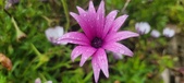 Enlarge photo 472