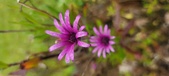 Enlarge photo 480