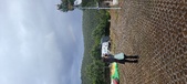 Enlarge photo 487