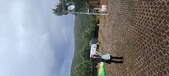 Enlarge photo 488
