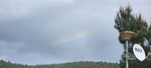 Enlarge photo 490