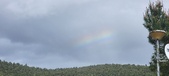 Enlarge photo 491