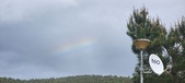 Enlarge photo 492