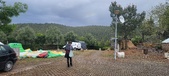 Enlarge photo 493