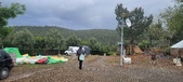 Enlarge photo 494