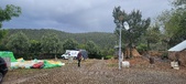 Enlarge photo 497