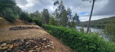 Enlarge photo 499